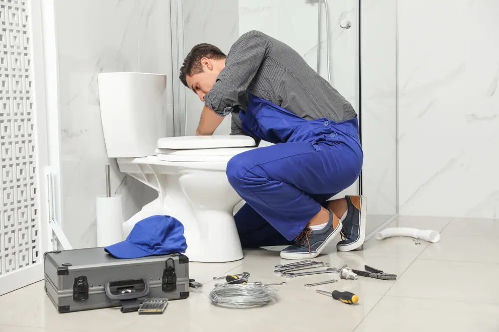Toilet Installation in Flensburg